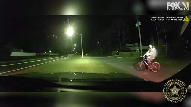 Deputy strikes armed felon with vehicle to avert threat in Palm Coast