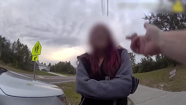 Juvenile suspect arrested in a number of Palm Bay vehicle burglaries