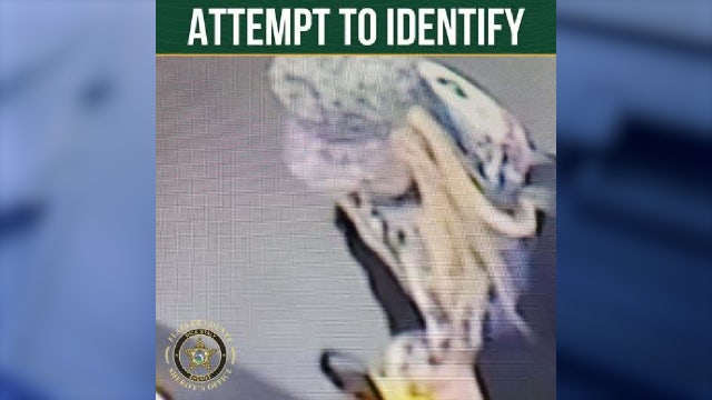 Florida woman wanted for aggravated battery, shoplifting at Dollar General