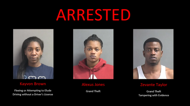 Stop sticks halt fleeing vehicle in Port Orange, leading to arrest of retail theft trio