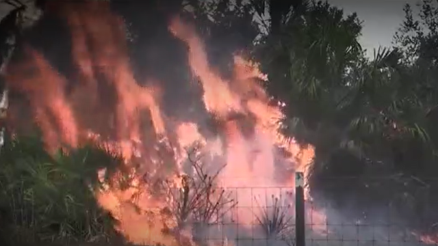 Florida leads the nation in prescribed burns for wildfire mitigation efforts