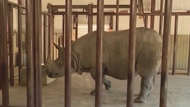 Animals at Central Florida Zoo get extra care as temperatures drop