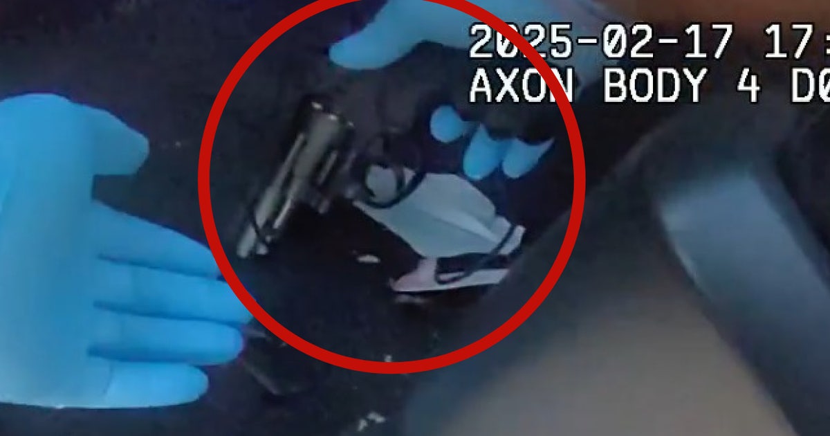 Florida boy, 14, arrested for shooting at roosters with BB gun in New ...