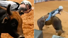 Rodeo rider in Florida hospitalized after bull's horn slices neck open, says he intends to keep competing
