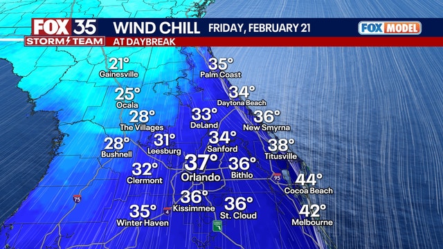 Orlando weather: Cooler temperatures on the way, freeze warning in place for select areas