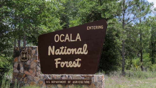 Bomb ignites fire in Ocala National Forest during routine Navy air training