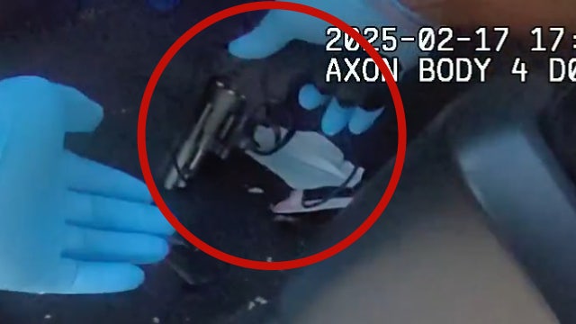 Florida boy, 14, arrested for shooting at roosters with BB gun in New Smyrna Beach, police say