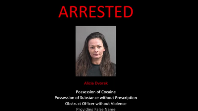 Volusia County woman on felony probation gave fake name and attempted to run during traffic stop