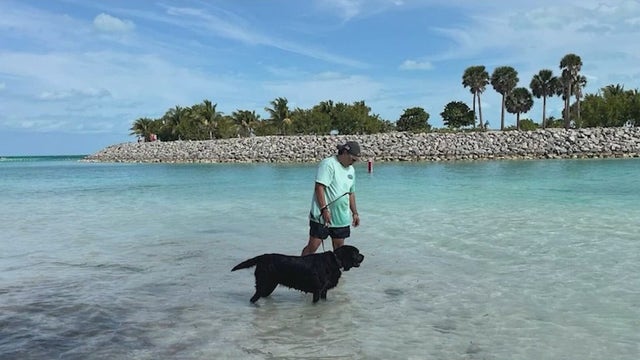 FOX 35 helps Florida veteran cruise with service dog after initial paperwork problems