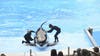 SeaWorld Orlando fined after trainer hurt by killer whale: OSHA