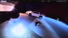 Ocala officers disciplined after shooting, killing dogs