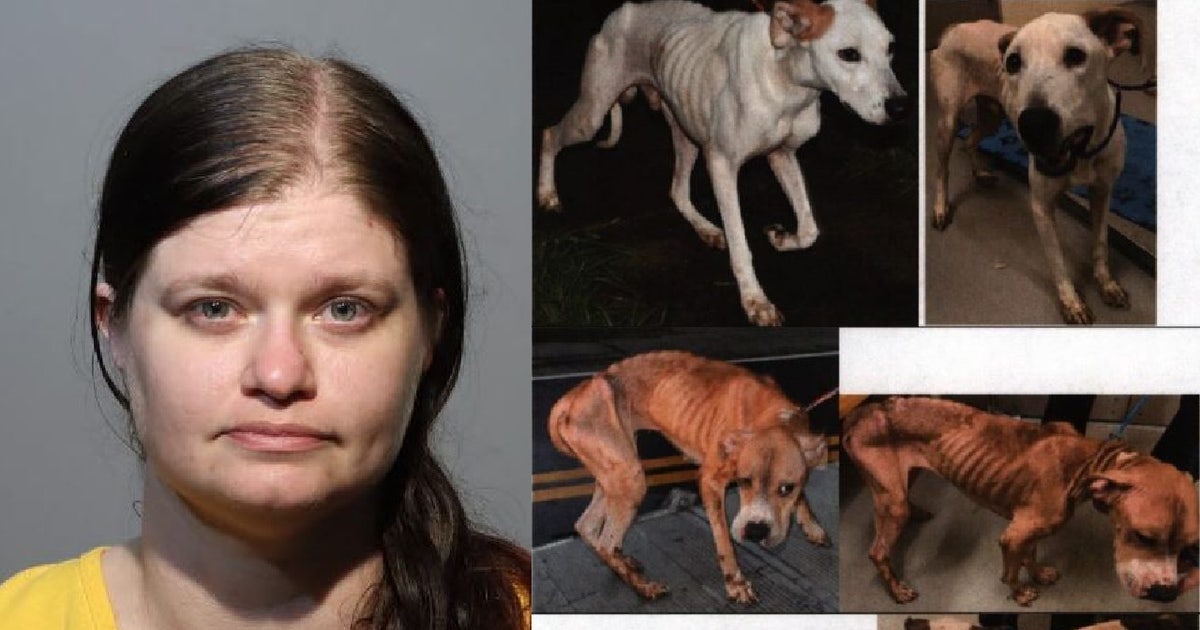 Florida woman sentenced to 7 years for animal cruelty at fake pet ...