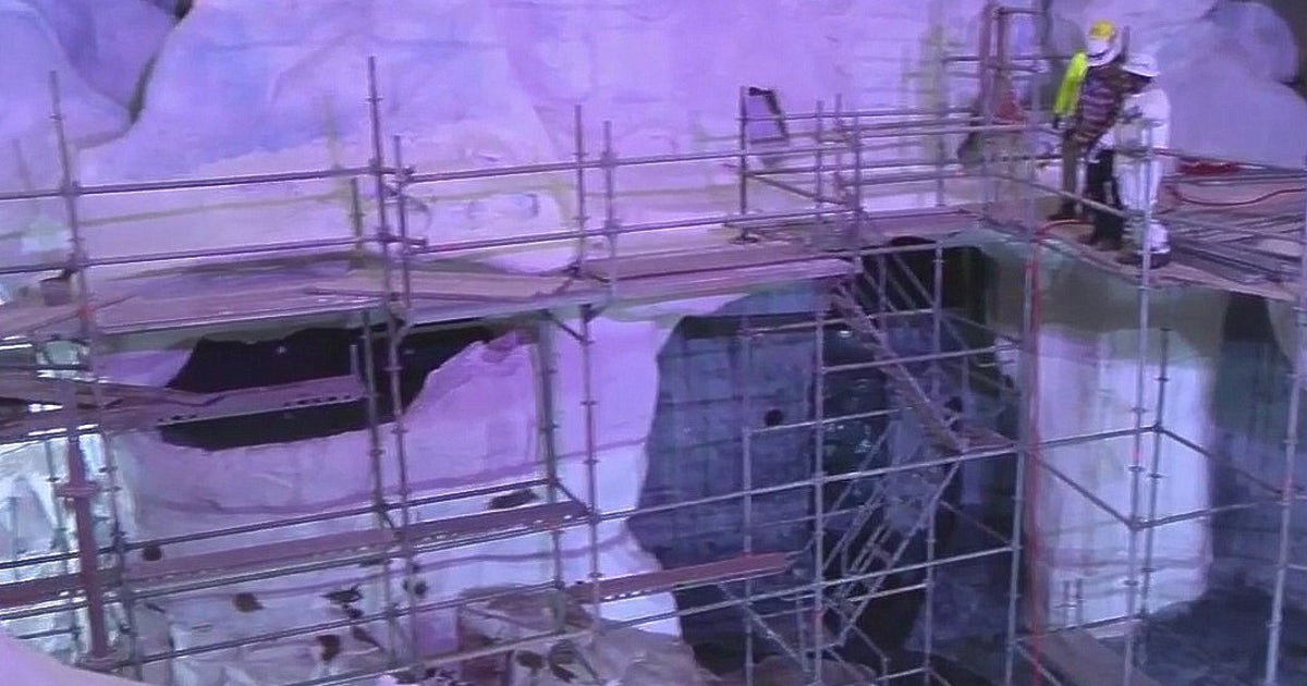 Expedition Odyssey first look: SeaWorld Orlando gives FOX 35 sneak