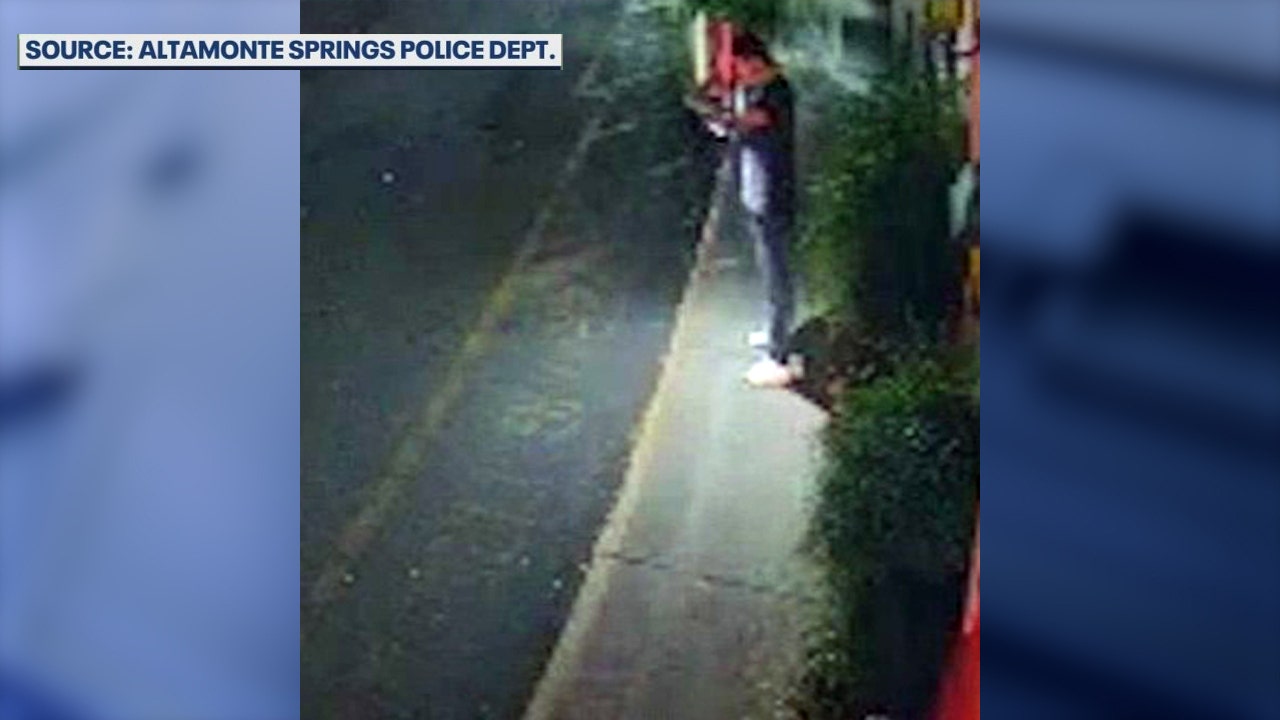 Altamonte Springs Police search for man accused of nighttime assaults ...