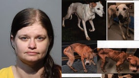 Florida woman sentenced to 7 years for animal cruelty at fake pet rescue