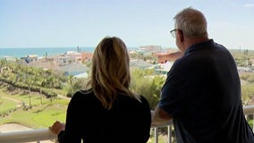 Estimated $40K in palm trees removed without authorization from Ponce Inlet condo complex