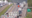 Vehicle rollover closes I-95 northbound in Flagler County area: deputies