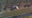 Small plane makes emergency landing in Orange County, officials say