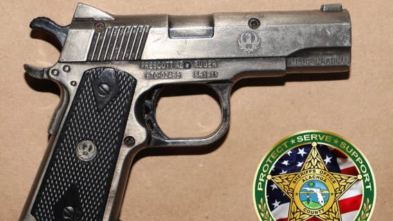 Florida 11-year-old boy points gun at 2, attempts to steal cars: deputies