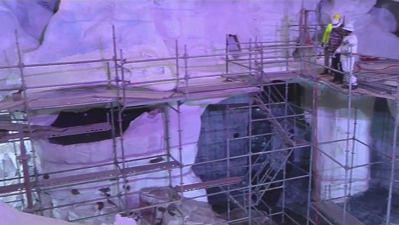 Expedition Odyssey first look: SeaWorld Orlando gives FOX 35 sneak peak at newest attraction