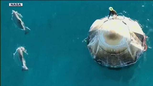 Video: Dolphins swim near SpaceX's Dragon capsule with Crew-9 inside, moments after splashdown