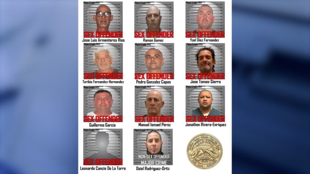 Florida officials arrest 10 undocumented immigrants registered as sex offenders: reports
