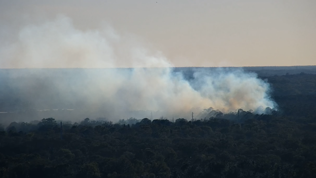 Orlando brush fire burns 70 acres; now 100% contained within fire lines: officials