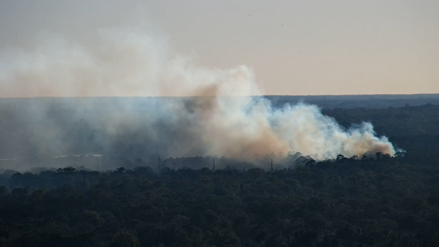 Crews battle brush fire near President Obama Parkway in Orlando