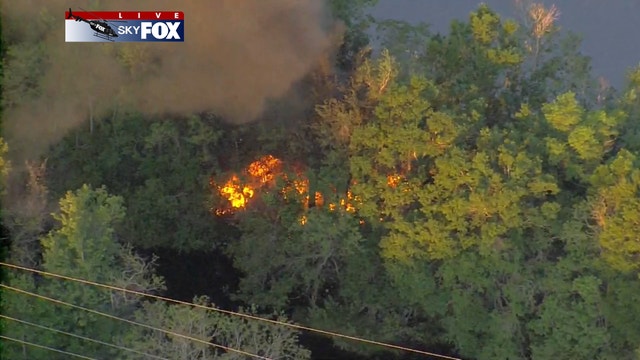 Orange County crews extinguish morning brush fire near Orange Blossom Trail