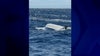 Coast Guard rescues 4 after boat capsizes off Florida coast; 5 still missing