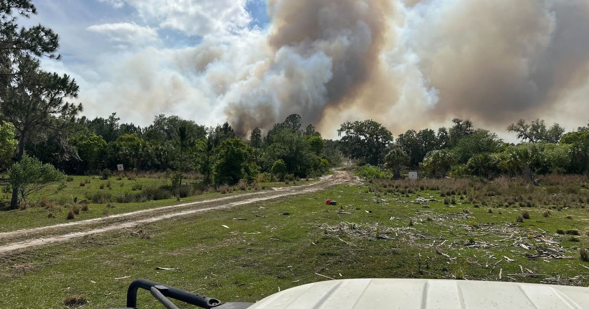 Brush fire breaks out in Bunnell, fire officials on scene | FOX 35 Orlando