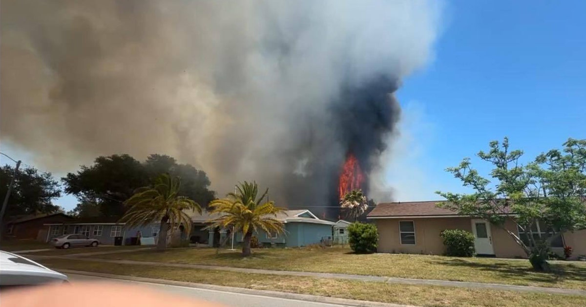 Multiple brush fires break out in Palm Bay, prompting precautionary ...