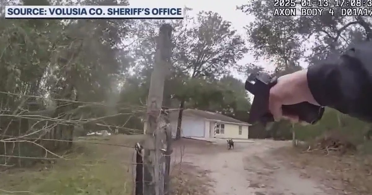 Florida 'dangerous dog' bill: Parents of boy mauled to death by dogs ...