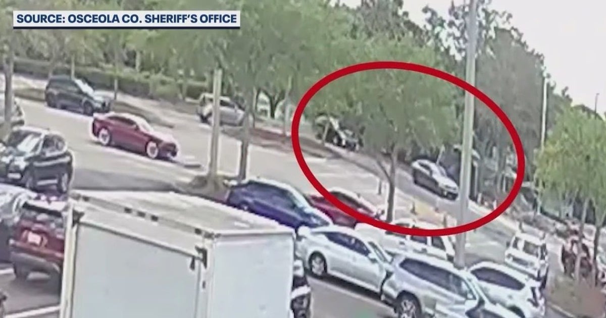 Florida road rage sparks daytime shootout in Publix parking lot ...