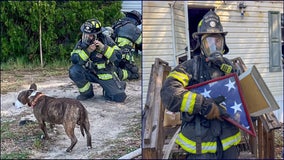 Four dogs rescued from Marion County house fire Monday morning