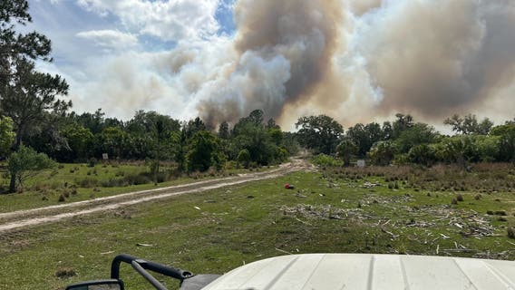 Brush fire breaks out in Bunnell, fire officials on scene