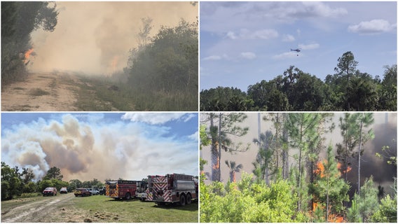 Flagler County wildfire burns 250 acres in a few hours; fire now 90% contained, officials say