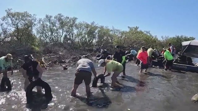 Hundreds of tires dumped in Indian River Lagoon finally being removed after decades