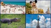 Florida sets new tourism record: 2024 marks highest annual visitation in state history, DeSantis says