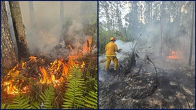 Brush fire near Lake Harney burns 15 acres, smoke visible in Geneva area
