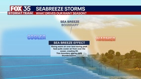 Florida rainy season: When does it start and end? Why does it rain in the afternoon?