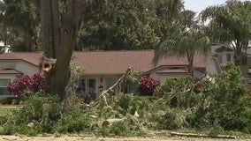 Storm batters St. Cloud with 60 MPH winds, uprooting trees and damaging homes