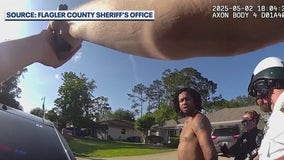 Florida felon caught driving drunk with baby, 2 pistols: Sheriff's Office