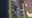 Brevard County 4-year-old found dead in pond after reported missing, deputies say