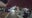 Video shows Orlando police officers shoot man who allegedly refused to drop gun