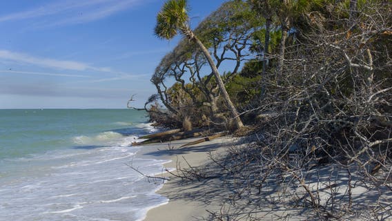 Hidden gems: 5 Florida beaches you must visit this summer