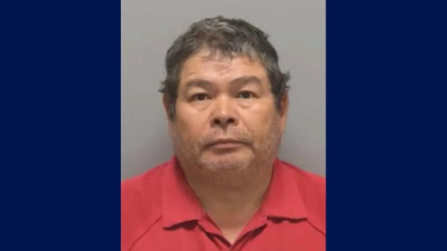 Florida man shoots neighbor's pregnant cow after it wandered onto his property: deputies