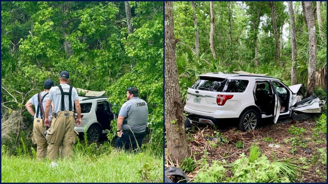 2 injured in Daytona Beach crash after car drives into woods, officials say