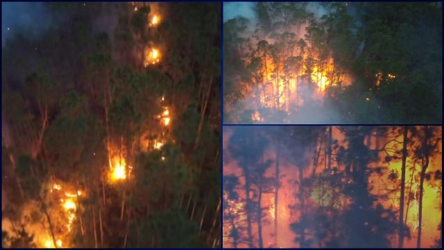 Brush fires in Osceola County burn 600 acres, officials say fires at 85% containment