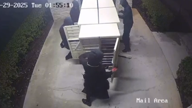 VIDEO: Florida suspects steal more than 200 pounds of mail and go on shopping spree, police say